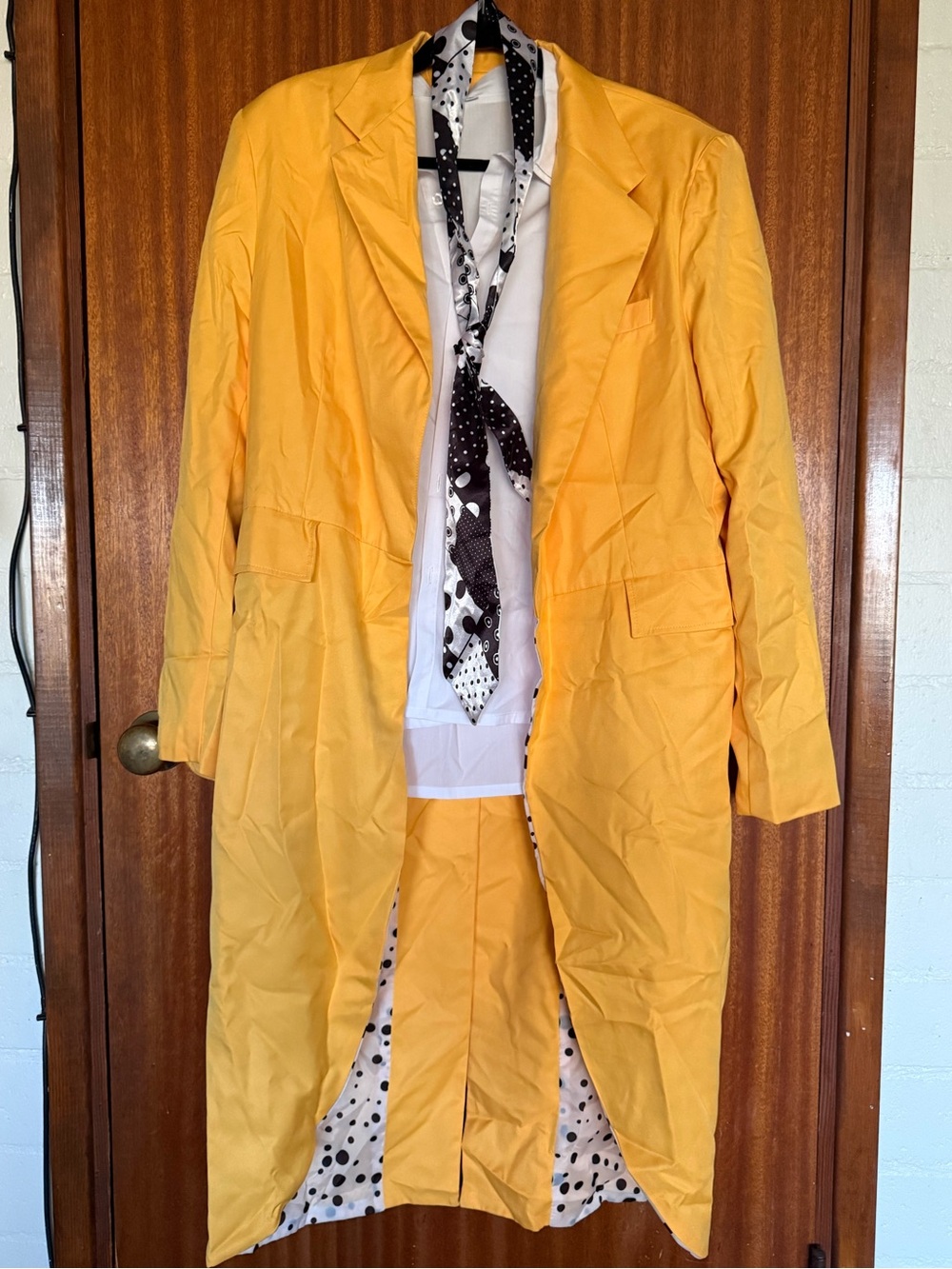 The Mask Costume